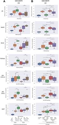 Improved diagnosis of inflammatory bowel disease and prediction and monitoring of response to anti-TNF alpha treatment based on measurement of signal transduction pathway activity